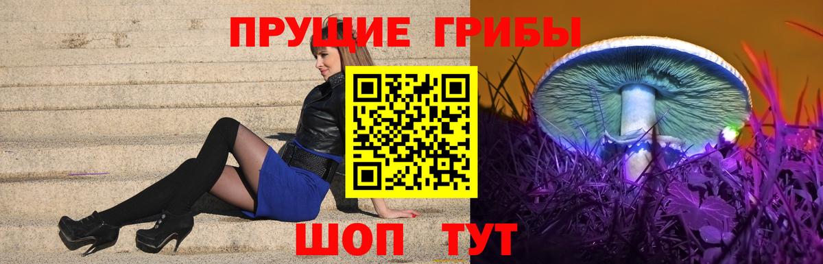 Псилоцибиновые грибы Magic Shrooms  Вход с VPN  Ачинск 